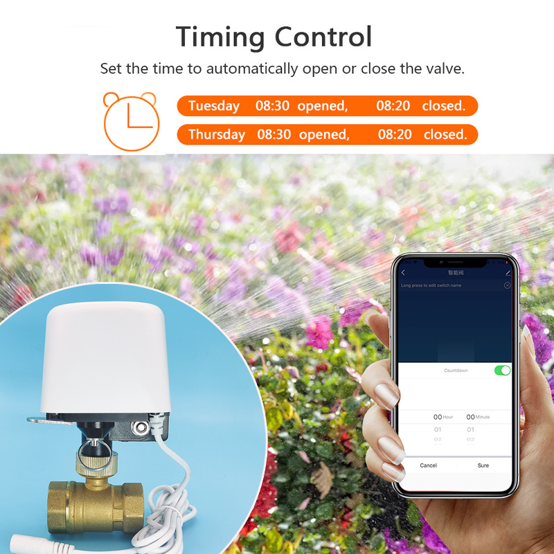 Valvola dell'Acqua WiFi Tuya Z - Smart Garden Lock recensione e prezzo