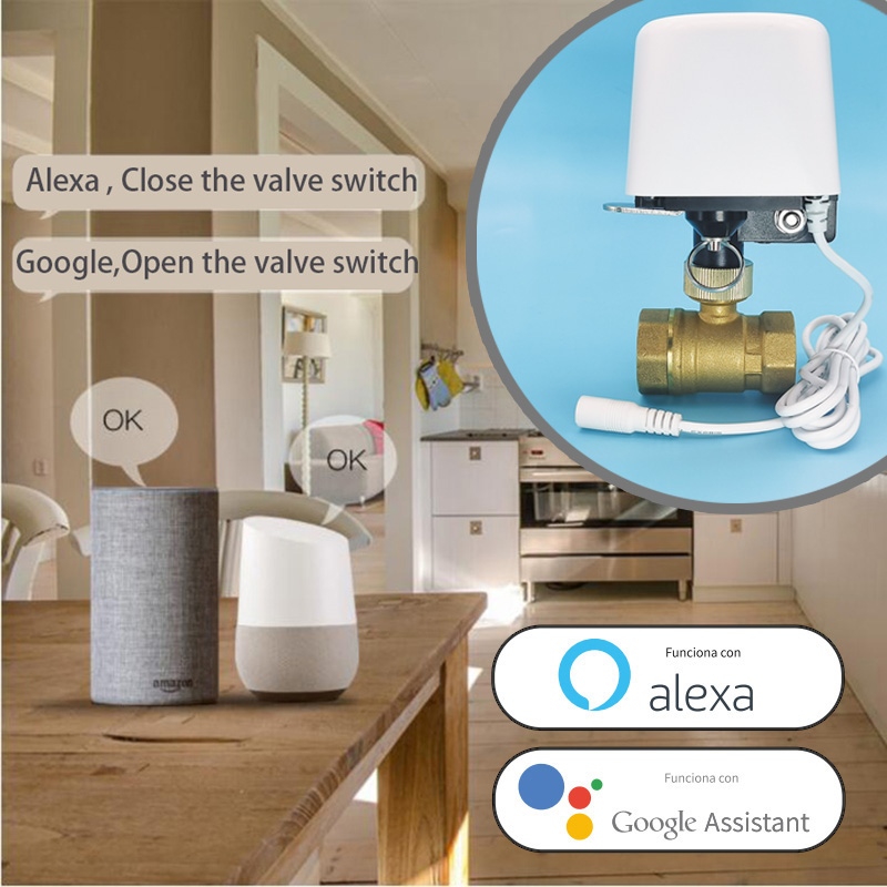 Valvola dell'Acqua WiFi Tuya Z - Smart Garden Lock recensione e prezzo