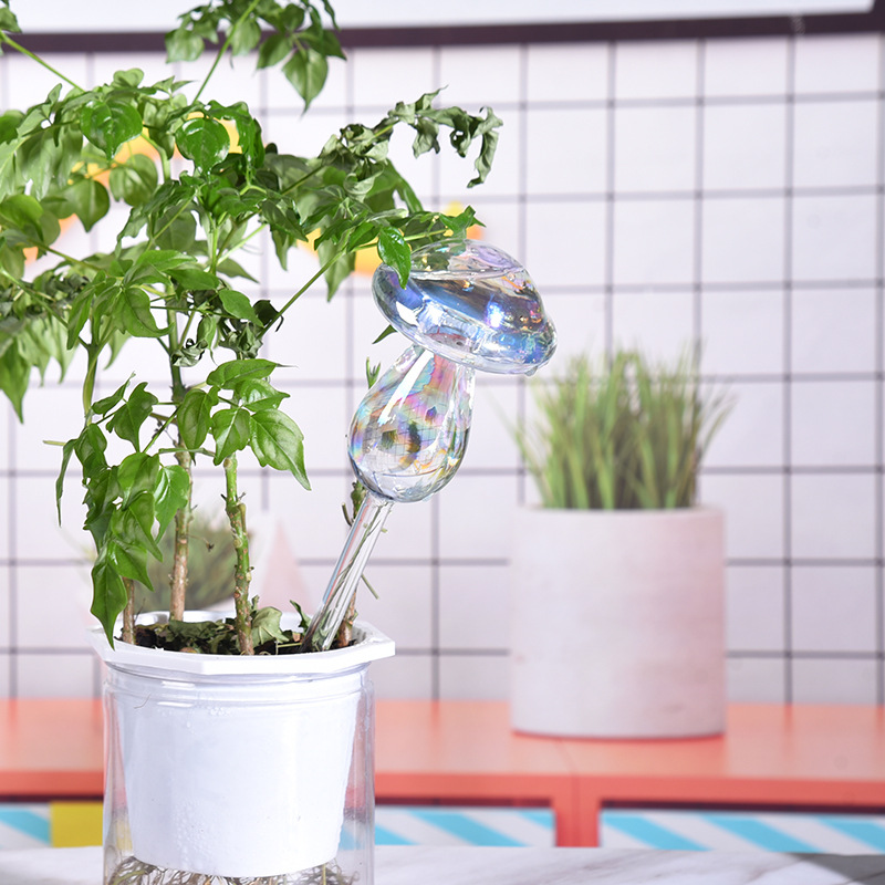 1/2PCS Paglia di vetro Automat - Smart Garden Technology recensione e prezzo