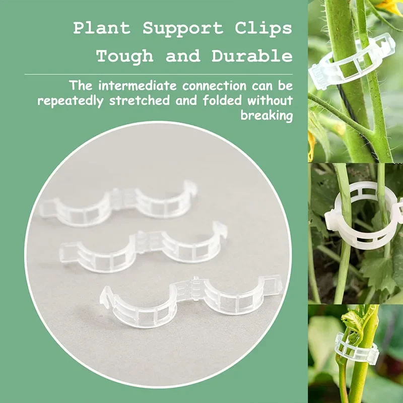 100PCS Pianta Clip di Fissaggi - Smart Garden Hub recensione e prezzo