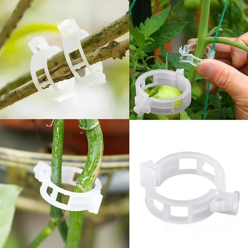 100PCS Pianta Clip di Fissaggi - Smart Garden Hub recensione e prezzo