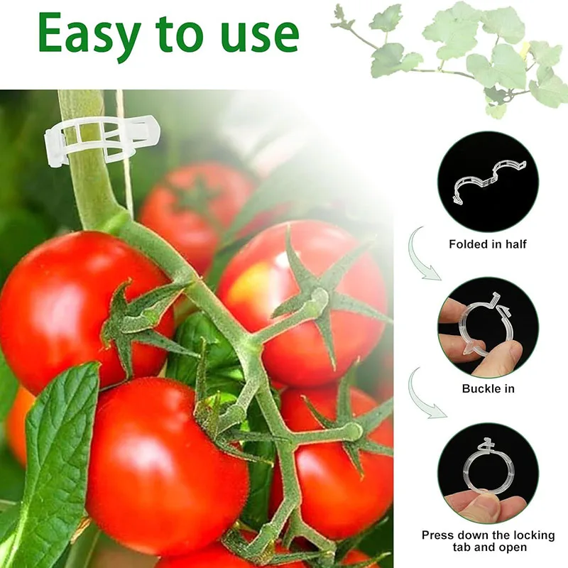 100PCS Pianta Clip di Fissaggi - Smart Garden Hub recensione e prezzo